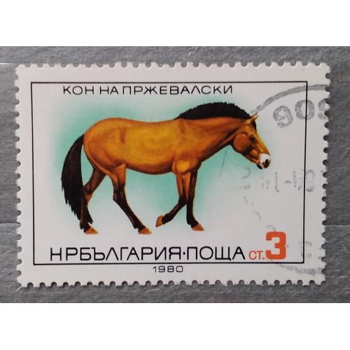 Болгария 1980 г - Лошадь Пржевальского, гаш