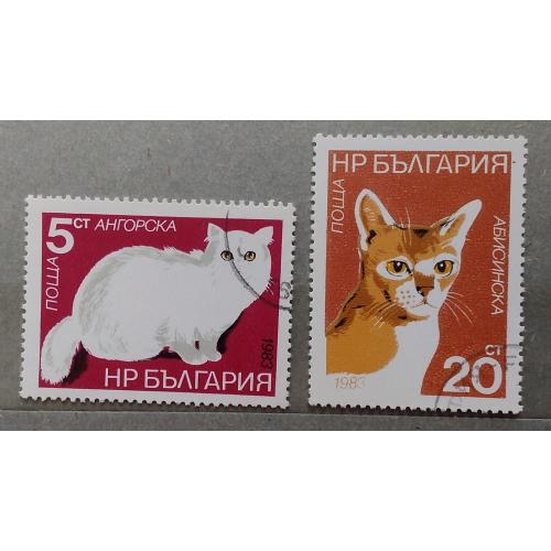 Болгария 1983 г - кошки, гаш