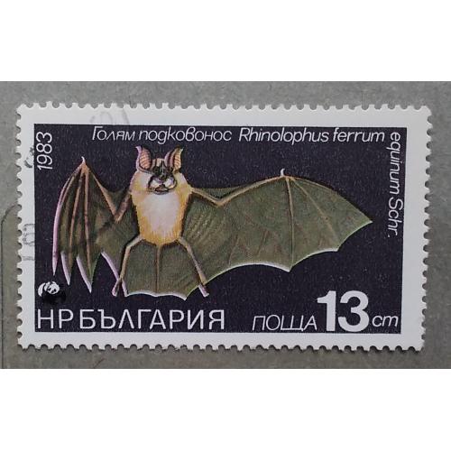 Болгария 1983 г - Летучая мышь.  Большой подковонос (Rhinolophus ferrumequinum), гаш