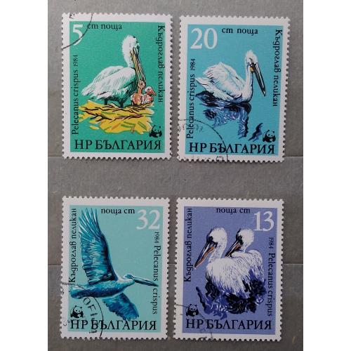 Болгария 1984 г - Всемирный фонд дикой природы. Кудрявый пеликан, гаш