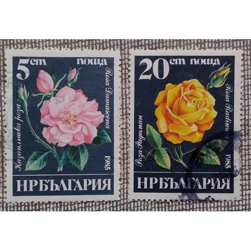 Болгария 1985 г - розы, 3 шт (см.фото)