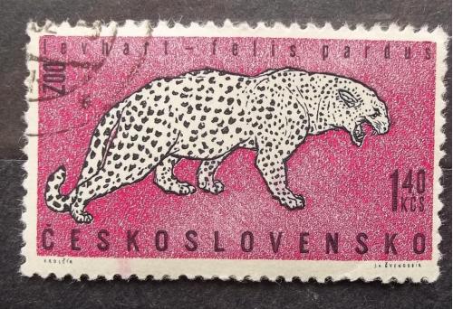 Чехословакия 1962 г - Животные пражских зоопарков. Леопард