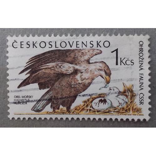 Чехословакия 1989 г - Орлан-белохвост (Haliaeetus albicilla), гаш