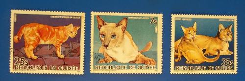 Гвинея 1985 г - кошки и собаки