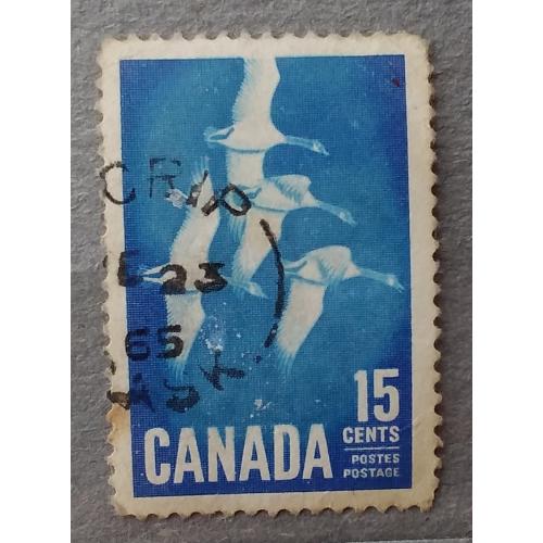 Канада 1963 г - Канадская казарка, гаш