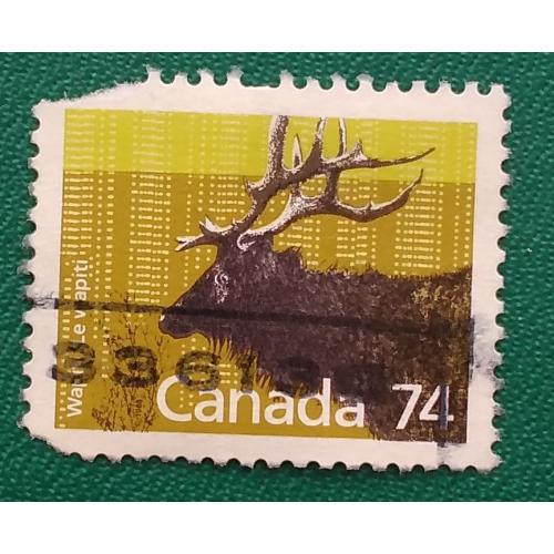 Канада 1988 г - Канадский олень вапити, гаш