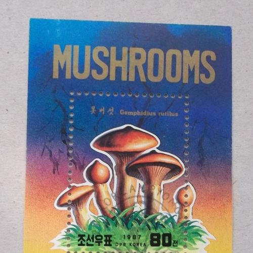  Корея 1987 г - блок грибы