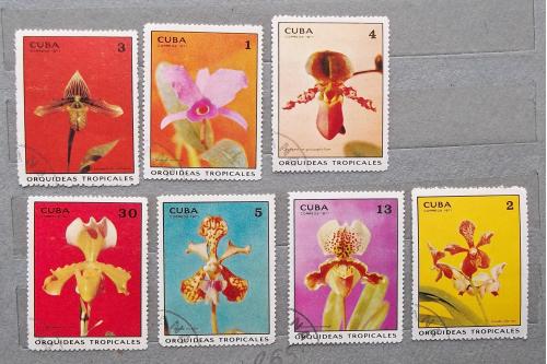 Куба 1971 г - Тропические орхидеи