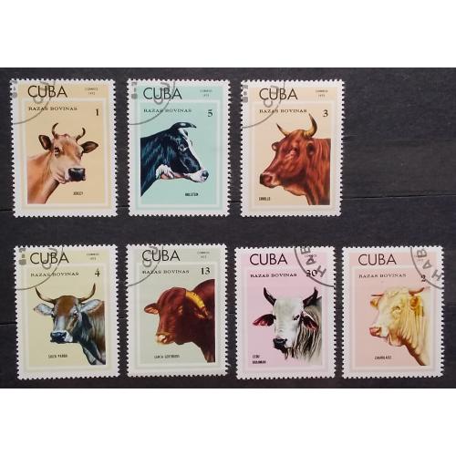 Куба 1973 г - Породы крупного рогатого скота