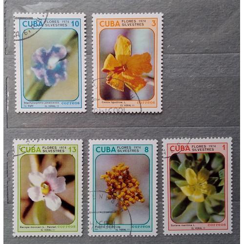 Куба 1974 г -  Дикорастущие цветы, гаш