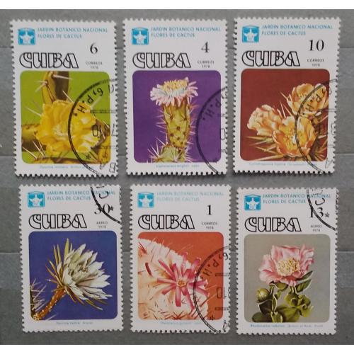Куба 1978 г - цветущие кактусы