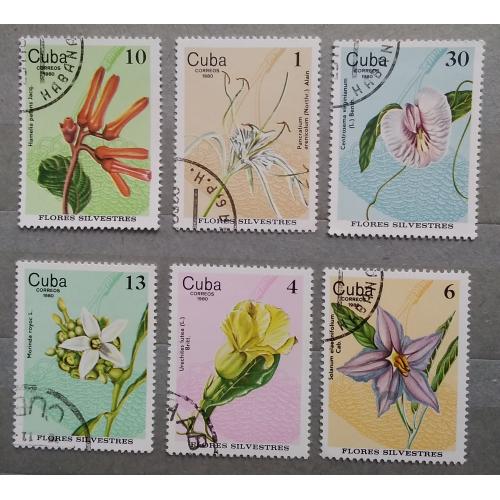Куба 1980 г - полевые цветы