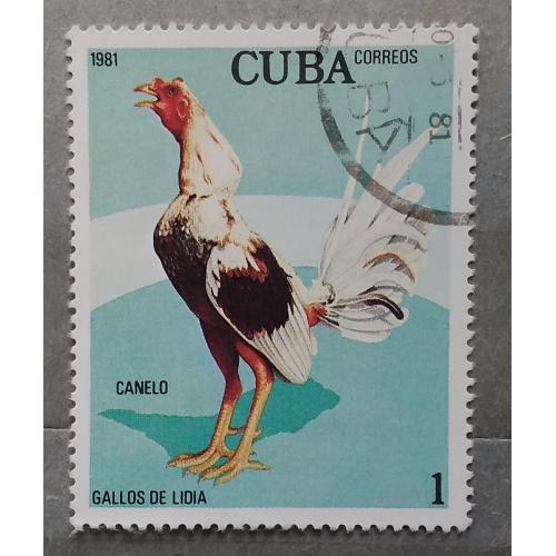 Куба 1981 г - Боевые петухи. Канело, гаш