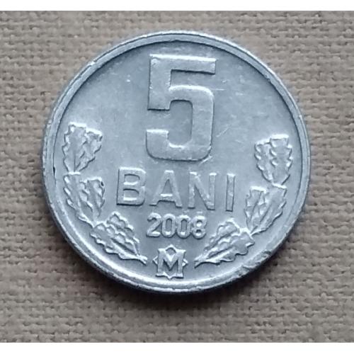Молдова 5 бань, 2008 г