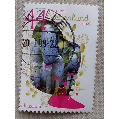 Нидерланды 2008 г - Грибы. Навозник белый (Coprinus comatus), гаш