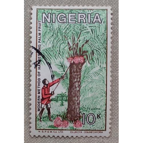 Нигерия 1986 г - Сбор плодов масличной пальмы, гаш