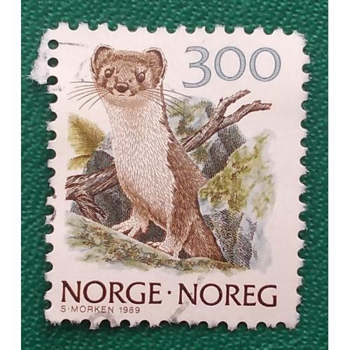 Норвегия 1989 г -Горностай (Mustela erminea), гаш