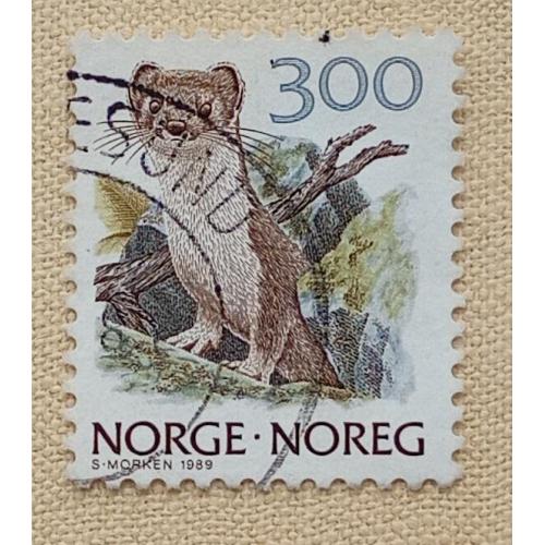 Норвегия 1989 г -Горностай (Mustela erminea), гаш
