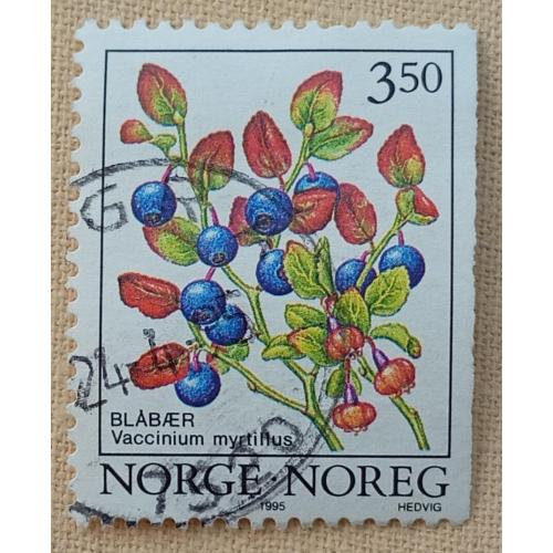 Норвегия 1995 г - Черника обыкновенная (Vaccinium myrtillus), гаш