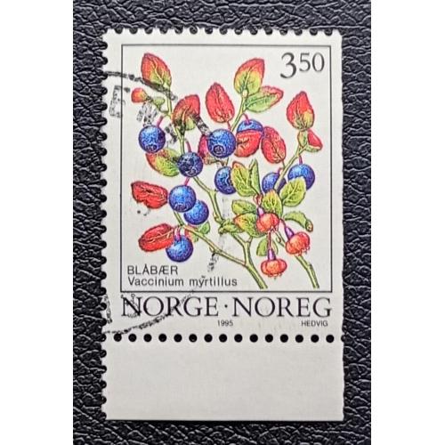 Норвегия 1995 г - Черника обыкновенная (Vaccinium myrtillus), гаш