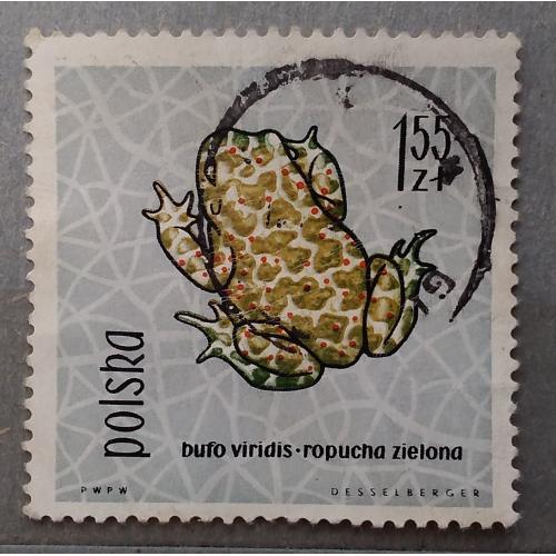 Польша 1963 г - Зелёная жаба (Bufo viridis), гаш