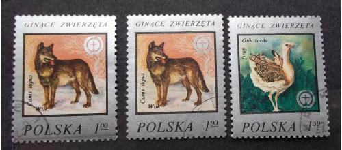Польша 1977 г - исчезающие животные