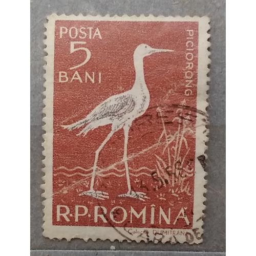 Румыния 1957 г - Фауна дельты Дуная. Чернокрылый ходулочник (Himantopus hisantopus), гаш