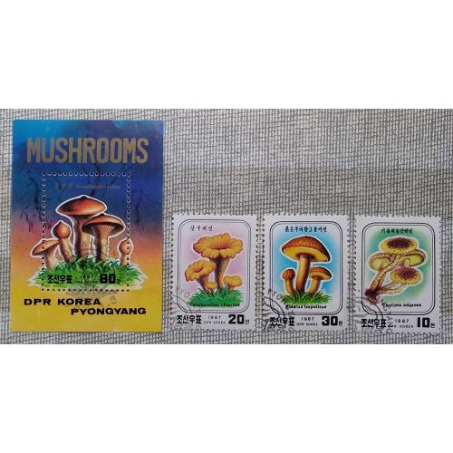 Северная Корея 1987 г - грибы