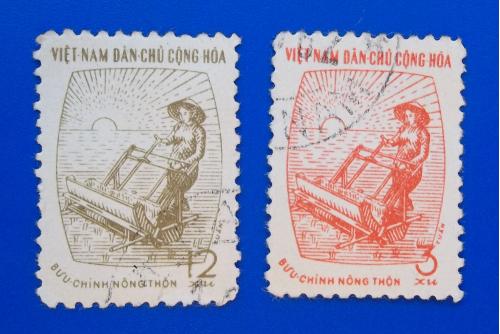 Северный Вьетнам 1962 г - Посадка риса