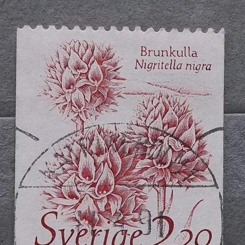 Швеция 1985 г - Нигрителла черная (Nigritella nigra)