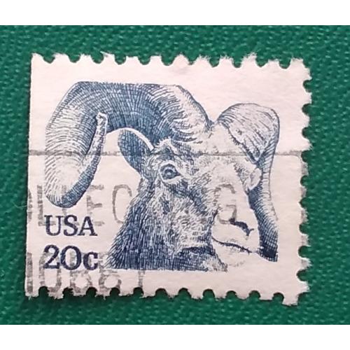 США 1982 г - Горный баран (Ovis canadensis), гаш