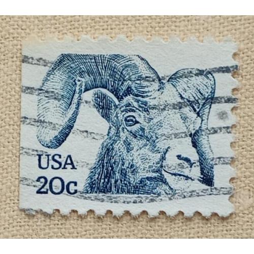 США 1982 г - Горный баран (Ovis canadensis), гаш