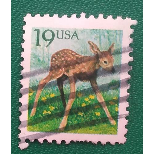 США 1991 г - Белохвостый олень (Odocoileus virginianus), гаш