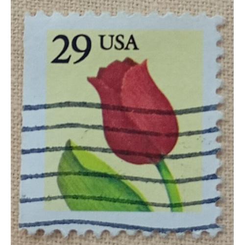 США 1991 г - Тюльпан, гаш