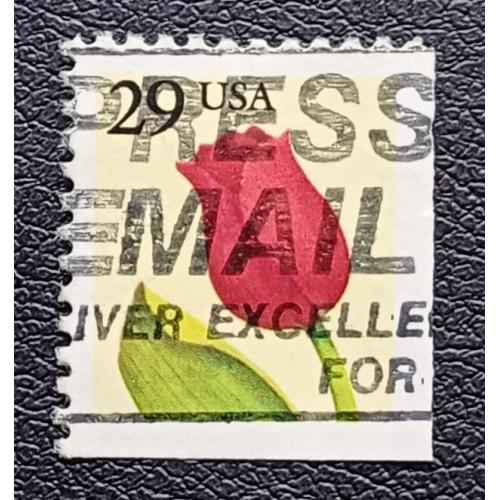 США 1991 г - Тюльпан, гаш