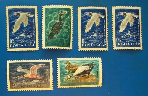  СССР 1972 г - Фауна. Водоплавающие птицы, обитатели побережий морей и океанов