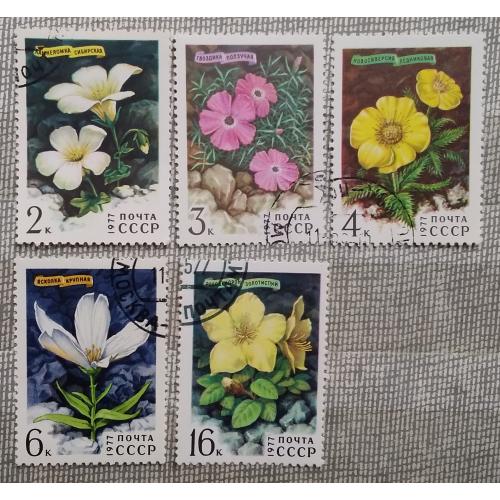 СССР 1977 г - Цветы гор Сибири, гаш
