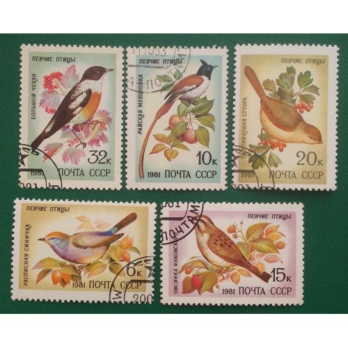 СССР 1981 г - Певчие птицы, гаш