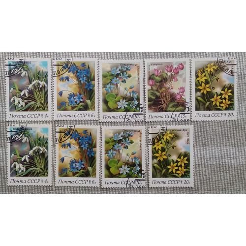 СССР 1983 г - Весенние цветы, ГАШ