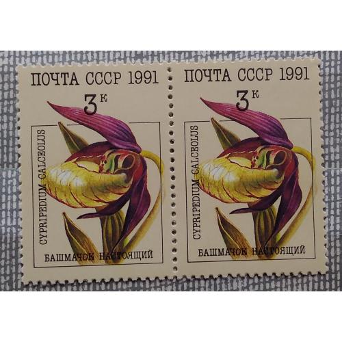 СССР 1991 г - Орхидеи,   Башмачок настоящий,  пара, негаш