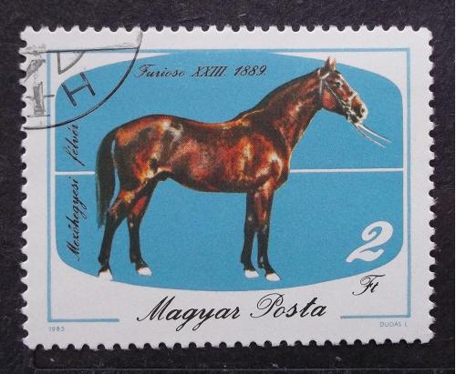 Венгрия 1985 г - лошадь