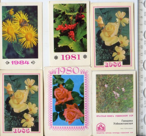 6 календариків із зображенням квітів 1980, 1981, 1982, 1984, 1985 гг. «Рад.Укр.» одним лотом