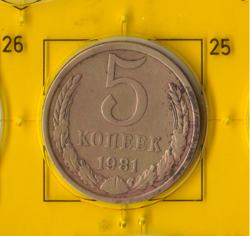Демонетизована повсякденна монета СРСР номіналом 5 копійок 1981 року.