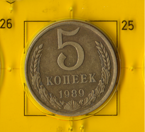 Демонетизована повсякденна монета СРСР номіналом 5 копійок 1989 року.