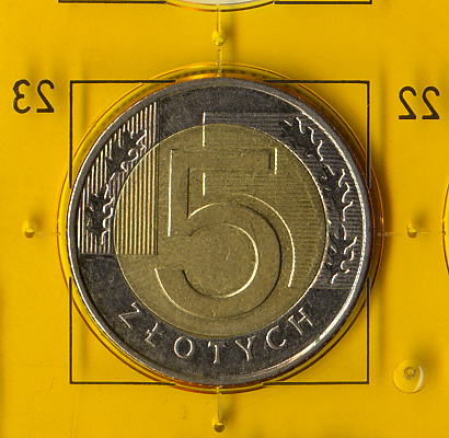 Повсякденна монета 2009 року номіналом 5 злотих Республіки Польща.