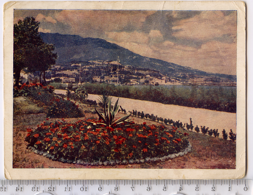 Почтовая карточка цветная фотография И.Б.Голанд «Ялта.Приморский сквер» 1954г.