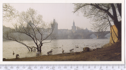 Сувенірна листівка №9058 «Влтава та Карлів міст», Прага, прибл.2006.