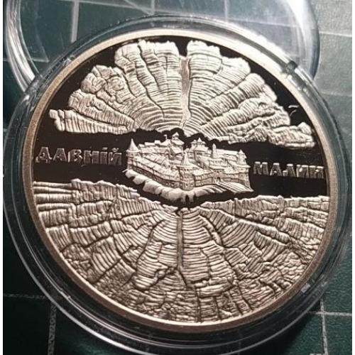5 гривень 2016 р. Давній Малин.