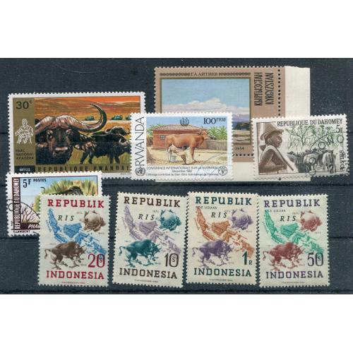 Комплект велика рогата худоба