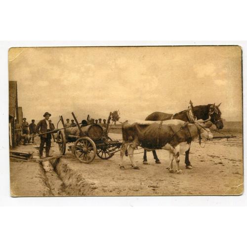 Поштівка Новітній "Мерзер"